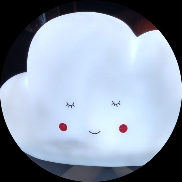 clever_bunny